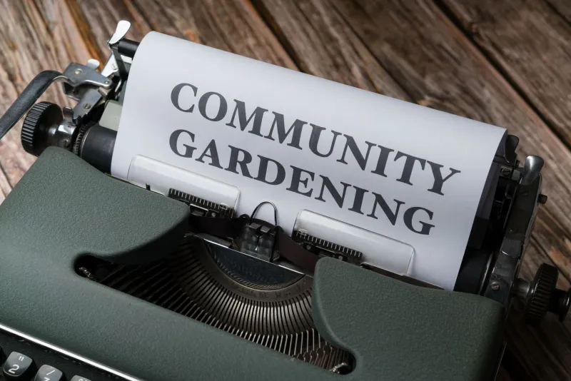 Seeds of Defiance: The Underground Urban Farmers Feeding Neighborhoods That Got Left Behind